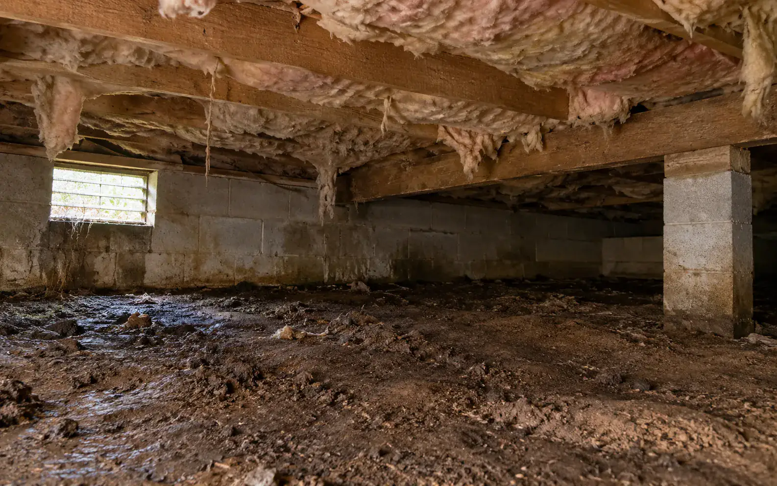 An untreated vented crawl space: bare damp soil, an open foundation vent and batts sagging between the floor joists